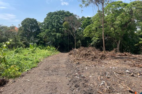 Land in Canggu, Badung, Bali (12061) 4