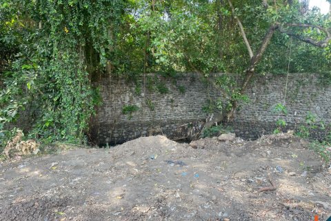 Land in Canggu, Badung, Bali (12061) 2