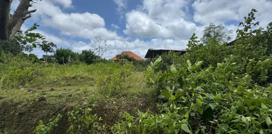 Land in Kuta, Badung, Bali (11577)