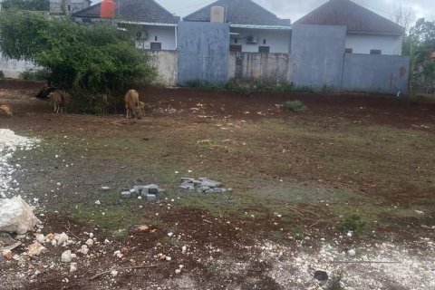 200m2 Land in South Kuta, Badung, Bali (13996) 9