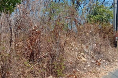 900m2 Land in Lovina, Anturan, Buleleng, Bali (14001) 5