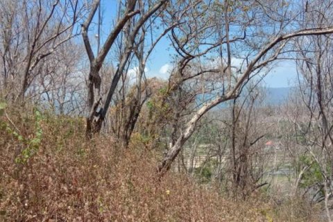 900m2 Land in Lovina, Anturan, Buleleng, Bali (14001) 3