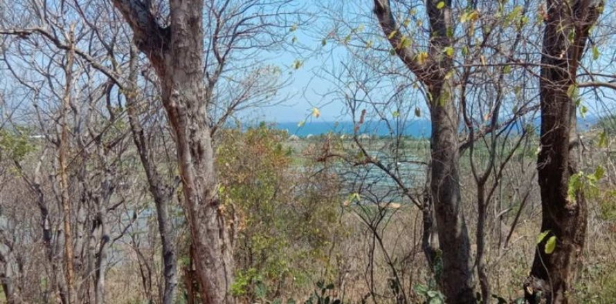 900m2 Land in Lovina, Anturan, Buleleng, Bali (14001)