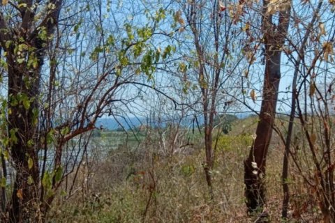 900m2 Land in Lovina, Anturan, Buleleng, Bali (14001) 2