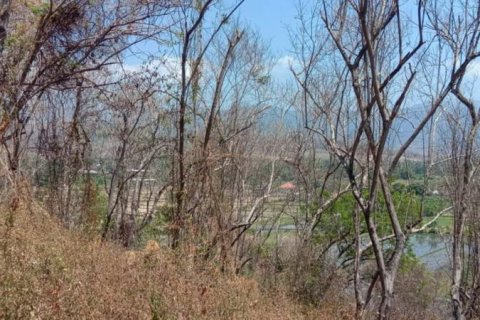 900m2 Land in Lovina, Anturan, Buleleng, Bali (14001) 4