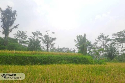 200m2 Land in Ubud, Gianyar, Bali (14002) 23
