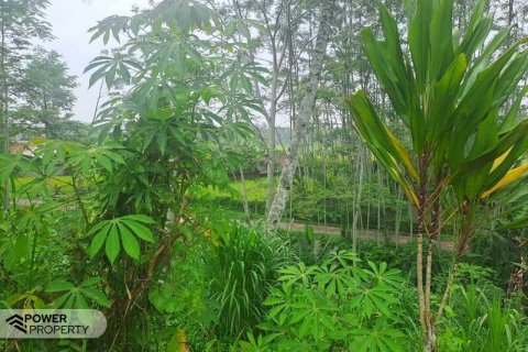 200m2 Land in Ubud, Gianyar, Bali (14002) 8