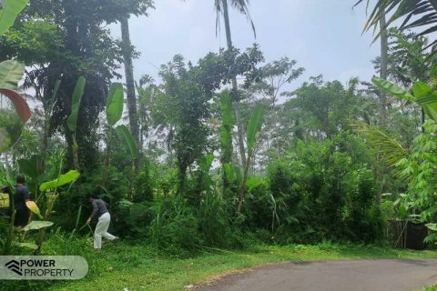 200m2 Land in Ubud, Gianyar, Bali (14002) 5