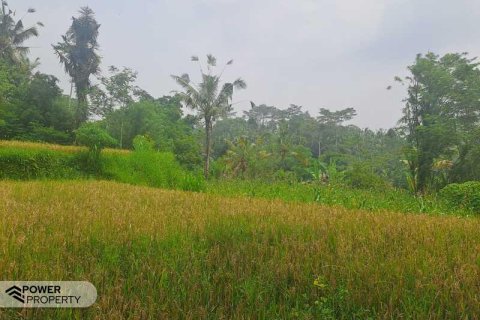 200m2 Land in Ubud, Gianyar, Bali (14002) 10