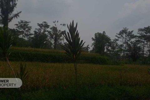200m2 Land in Ubud, Gianyar, Bali (14002) 6
