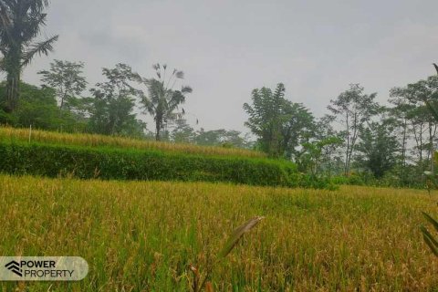 200m2 Land in Ubud, Gianyar, Bali (14002) 16