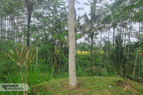 200m2 Land in Ubud, Gianyar, Bali (14002) 22