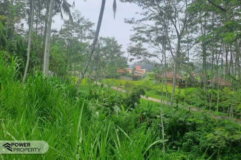 200m2 Land in Ubud, Gianyar, Bali (14002) 19