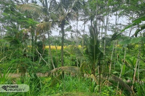200m2 Land in Ubud, Gianyar, Bali (14002) 15