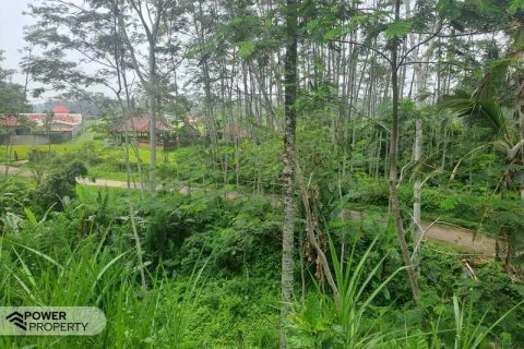 200m2 Land in Ubud, Gianyar, Bali (14002) 21