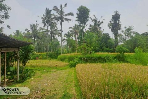 200m2 Land in Ubud, Gianyar, Bali (14002) 9