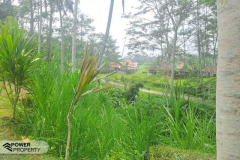 200m2 Land in Ubud, Gianyar, Bali (14002) 4