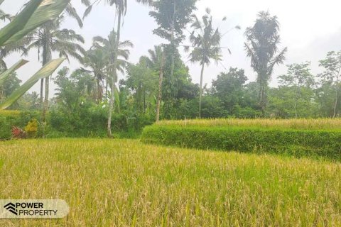 200m2 Land in Ubud, Gianyar, Bali (14002) 7