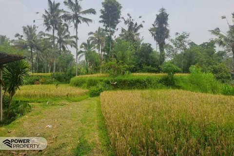 200m2 Land in Ubud, Gianyar, Bali (14002) 12