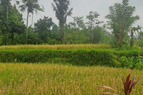 200m2 Land in Ubud, Gianyar, Bali (14002) 11