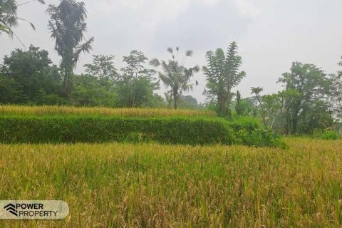200m2 Land in Ubud, Gianyar, Bali (14002) 14