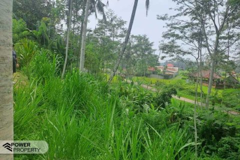 200m2 Land in Ubud, Gianyar, Bali (14002) 17