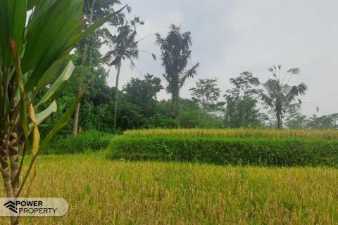 200m2 Land in Ubud, Gianyar, Bali (14002) 20