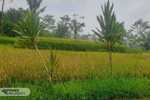 200m2 Land in Ubud, Gianyar, Bali (14002) 3