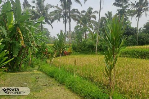 200m2 Land in Ubud, Gianyar, Bali (14002) 2