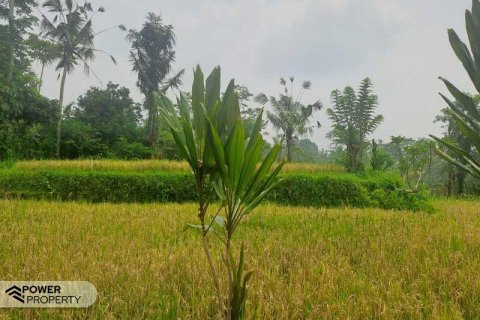 200m2 Land in Ubud, Gianyar, Bali (14002) 13