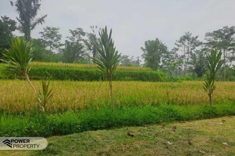200m2 Land in Ubud, Gianyar, Bali (14002) 18