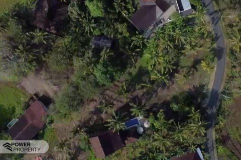 474m2 Land in Tabanan, Bali (14000) 4