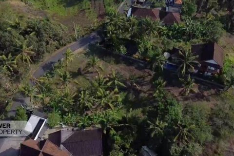 474m2 Land in Tabanan, Bali (14000) 5