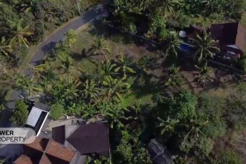 474m2 Land in Tabanan, Bali (14000) 3