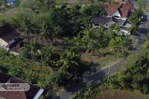 474m2 Land in Tabanan, Bali (14000) 6