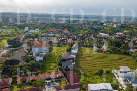 Land in Canggu, Badung, Bali (4586) 7