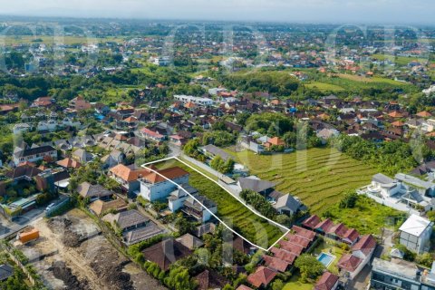 Land in Canggu, Badung, Bali (4586) 4