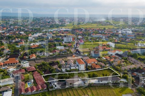 Land in Canggu, Badung, Bali (4586) 3