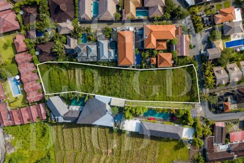Land in Canggu, Badung, Bali (4586)