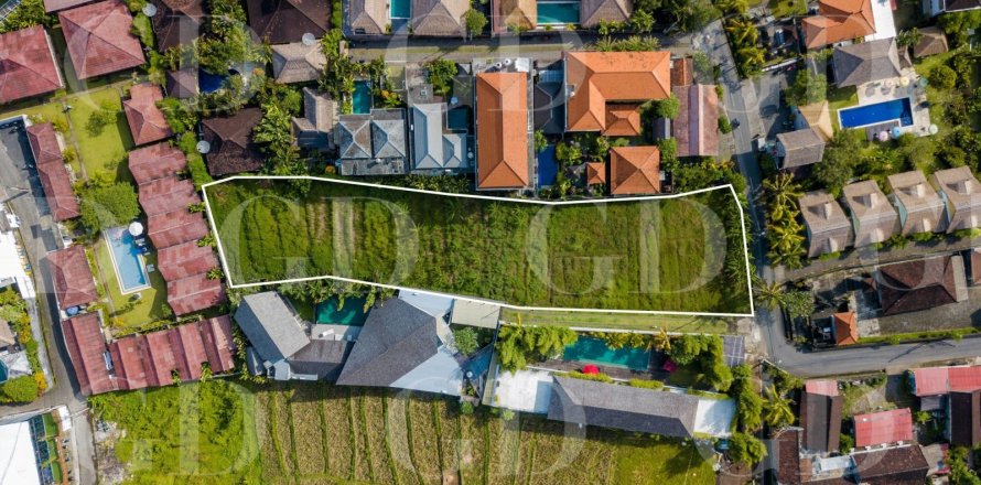Land in Canggu, Badung, Bali (4586)