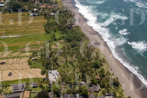 Land in Cemagi, Mengwi, Badung, Bali (4588) 3