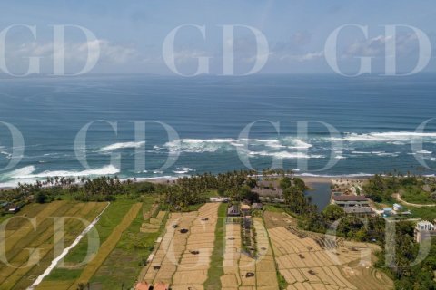 Land in Cemagi, Mengwi, Badung, Bali (4588) 9