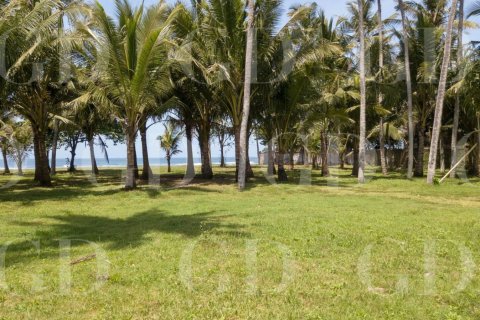 Land in Cemagi, Mengwi, Badung, Bali (4588) 7