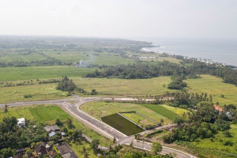 Land in Kediri, Tabanan, Bali (4585) 5