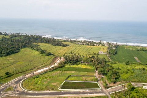 Land in Kediri, Tabanan, Bali (4585) 3