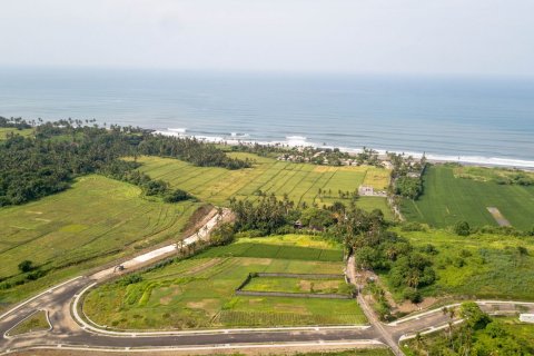 Land in Kediri, Tabanan, Bali (4585) 6