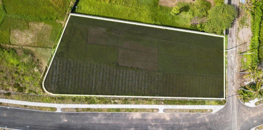 Land in Kediri, Tabanan, Bali (4585)