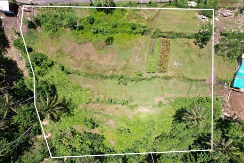 Land in Tampaksiring, Gianyar, Bali (4587)