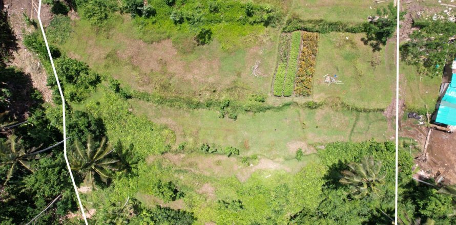 Land in Tampaksiring, Gianyar, Bali (4587)