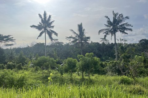 Land in Tampaksiring, Gianyar, Bali (4587) 5